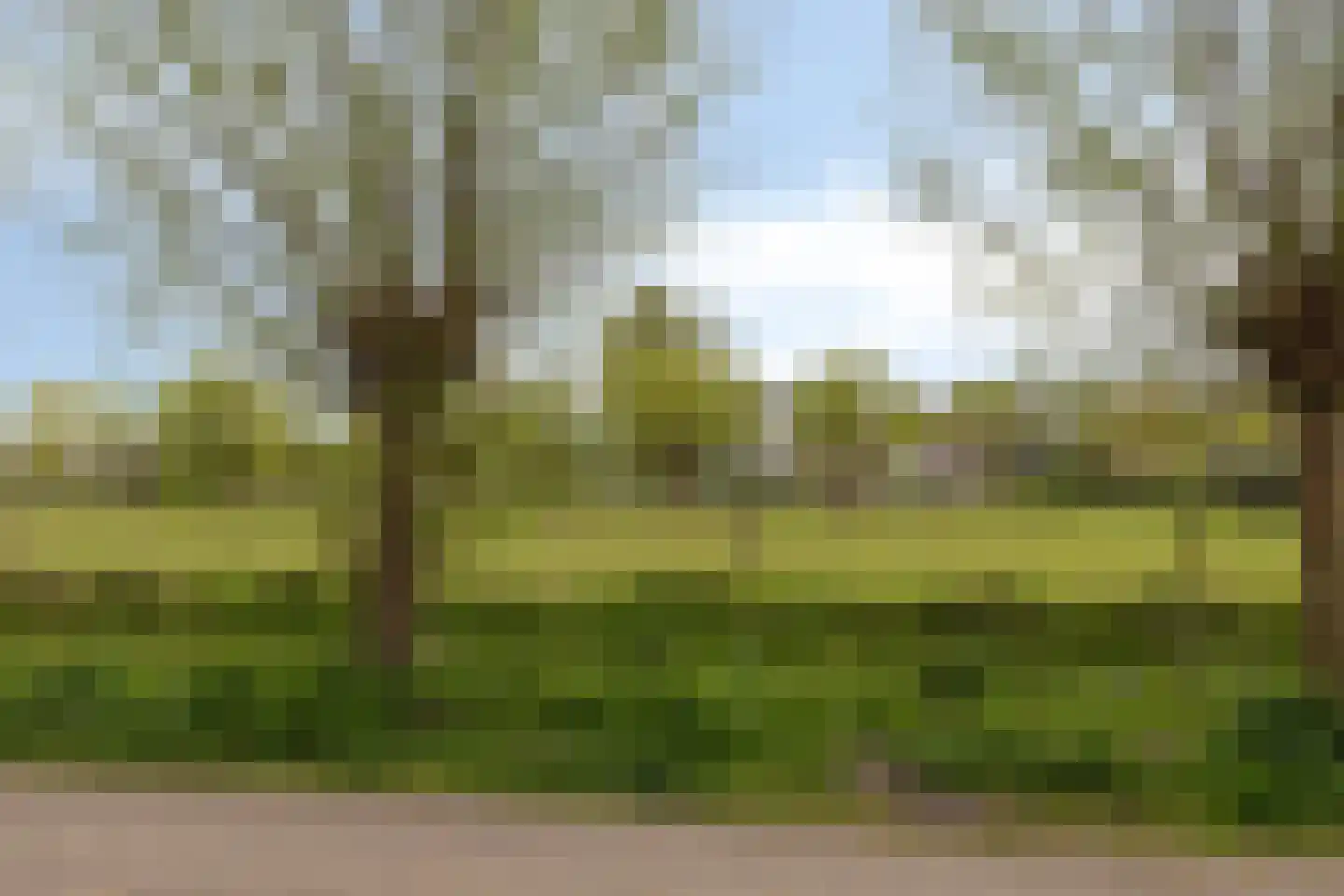 Omloopsweg 7 Burgh-Haamstede thumbnail 4