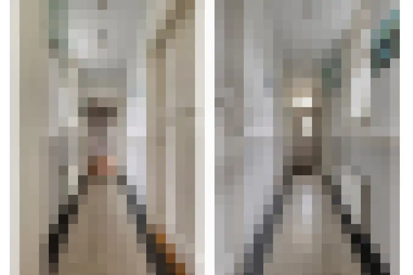 Omloopsweg 7 Burgh-Haamstede thumbnail 6