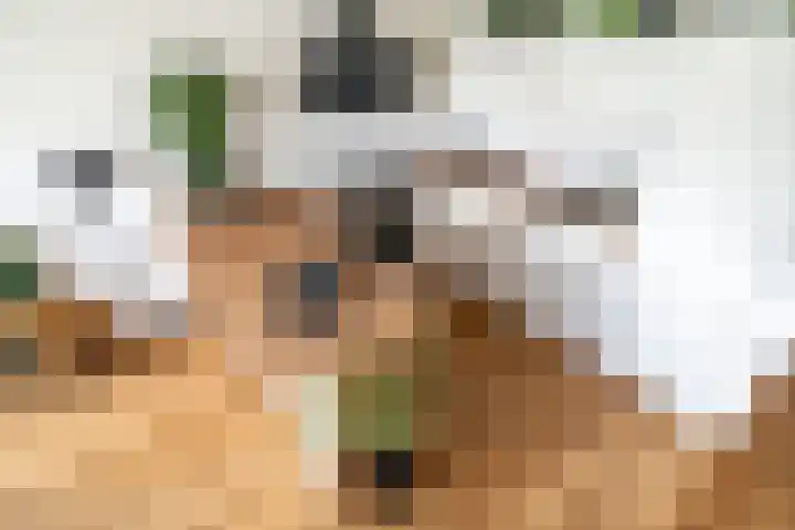 Ommedijk 105 Leiderdorp thumbnail 19