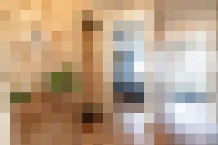 Ommedijk 105 Leiderdorp thumbnail 22