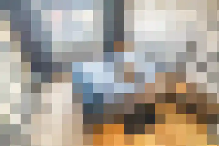 Ommedijk 105 Leiderdorp thumbnail 30