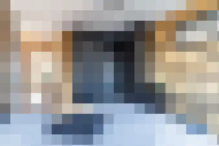 Ommedijk 105 Leiderdorp thumbnail 31