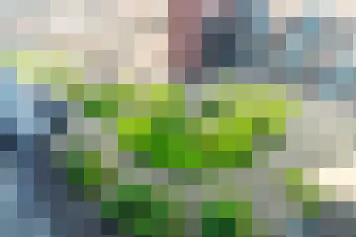 Ommedijk 105 Leiderdorp thumbnail 34