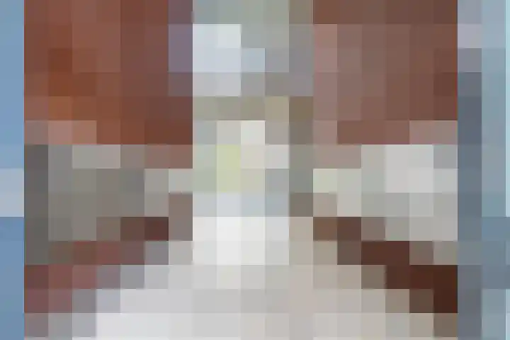 Ommedijk 105 Leiderdorp thumbnail 41