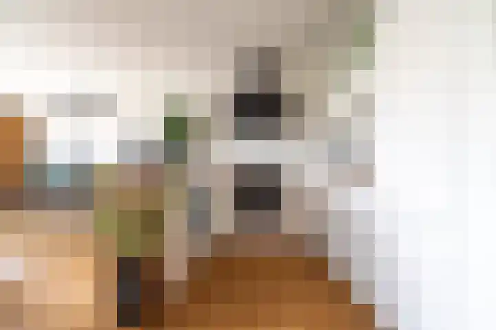 Ommedijk 105 Leiderdorp thumbnail 8