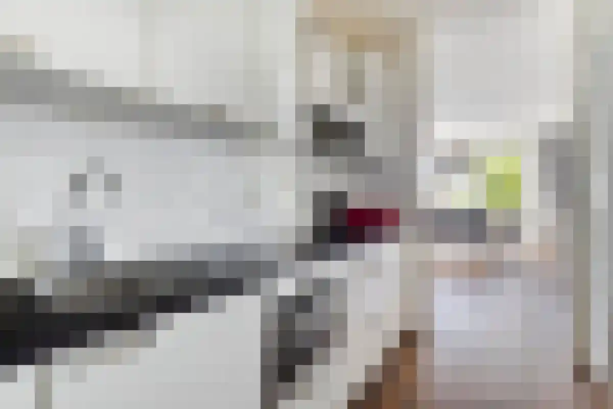 Ommedijk 38 Leiderdorp thumbnail 6