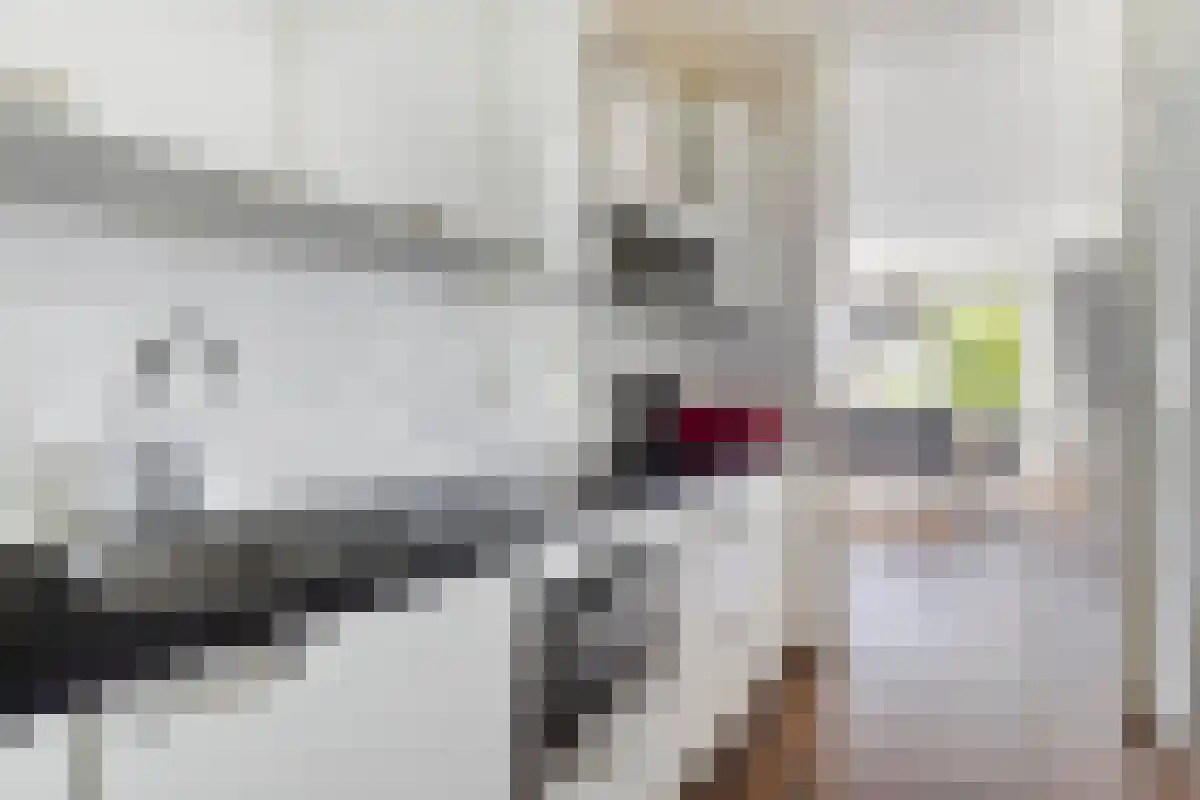 Ommedijk 38 Leiderdorp thumbnail 6