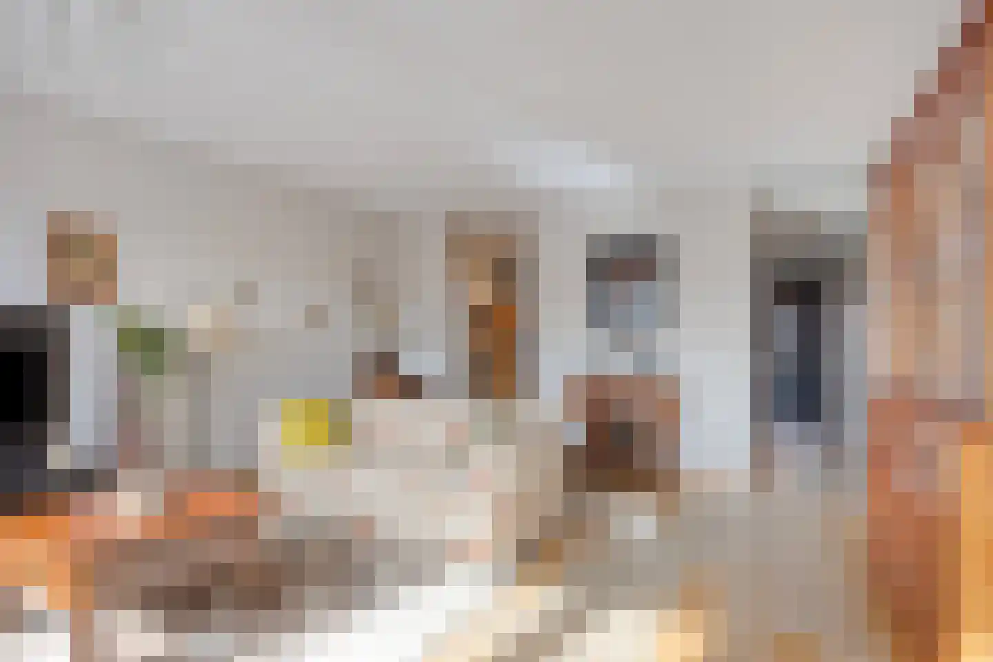 Ommedijk 40 Leiderdorp thumbnail 11