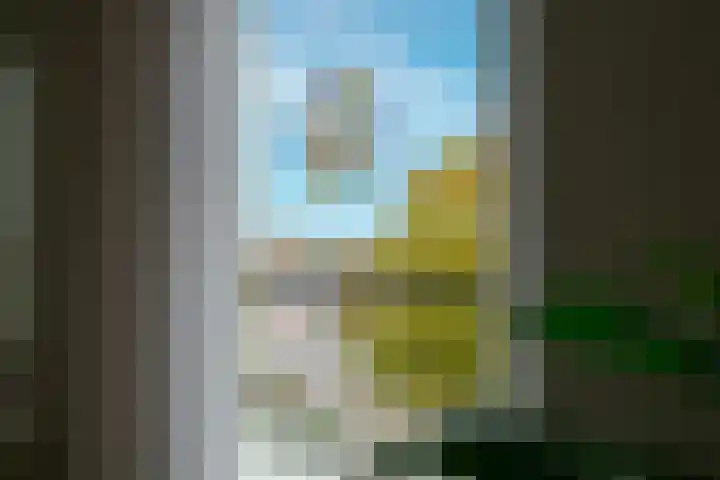 Ommedijk 64 Leiderdorp thumbnail 12