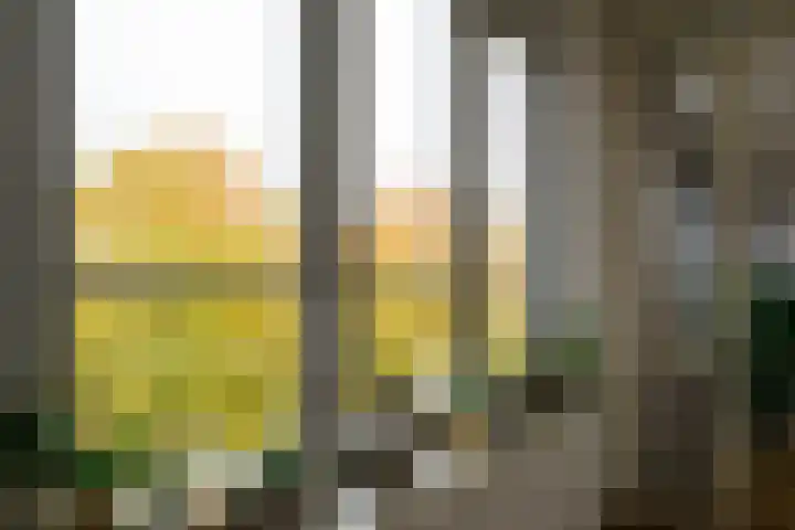 Ommedijk 64 Leiderdorp thumbnail 13