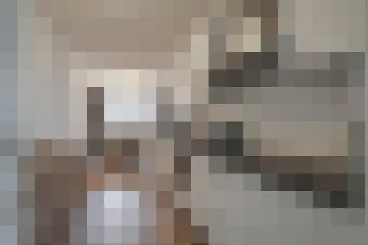 Ommedijk 64 Leiderdorp thumbnail 14