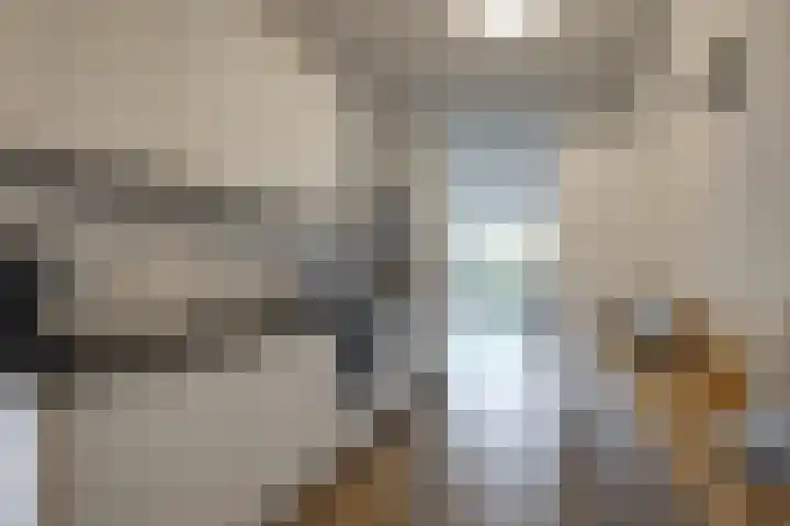 Ommedijk 64 Leiderdorp thumbnail 15