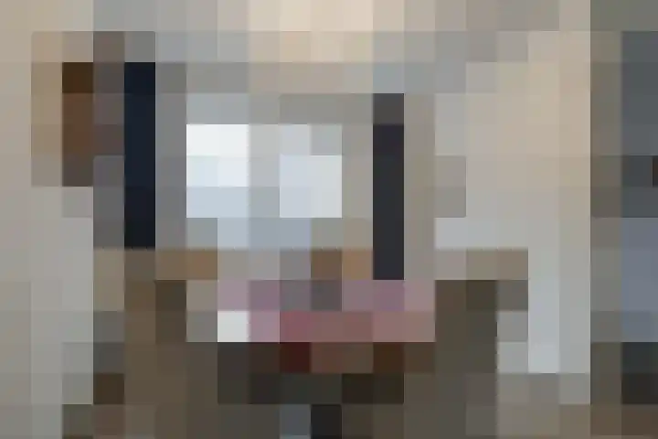 Ommedijk 64 Leiderdorp thumbnail 16
