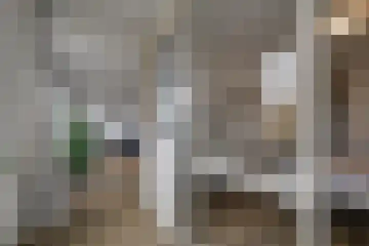 Ommedijk 64 Leiderdorp thumbnail 19