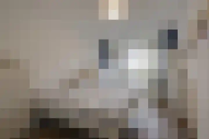 Ommedijk 64 Leiderdorp thumbnail 22