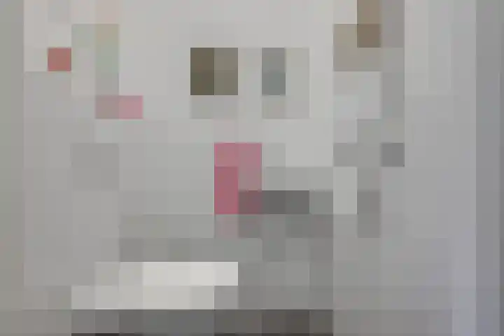 Ommedijk 64 Leiderdorp thumbnail 25