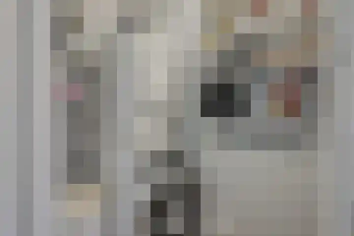 Ommedijk 64 Leiderdorp thumbnail 29