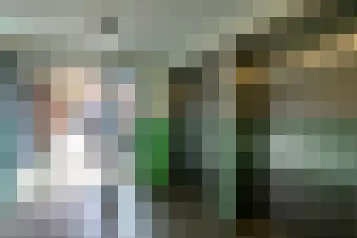 Ommedijk 64 Leiderdorp thumbnail 32