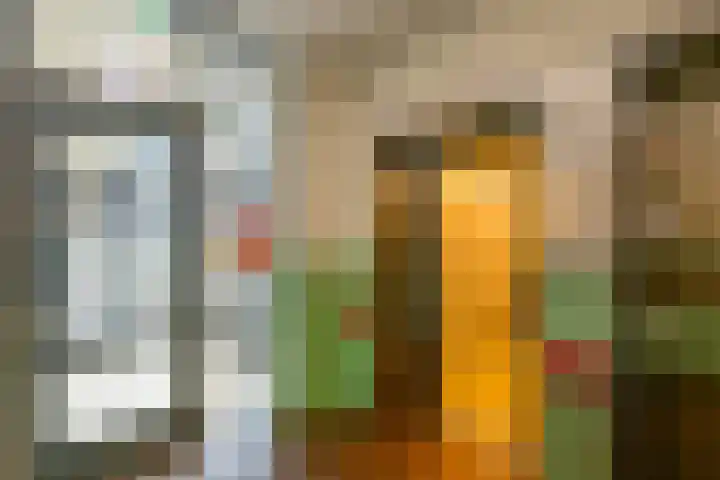 Ommedijk 64 Leiderdorp thumbnail 34