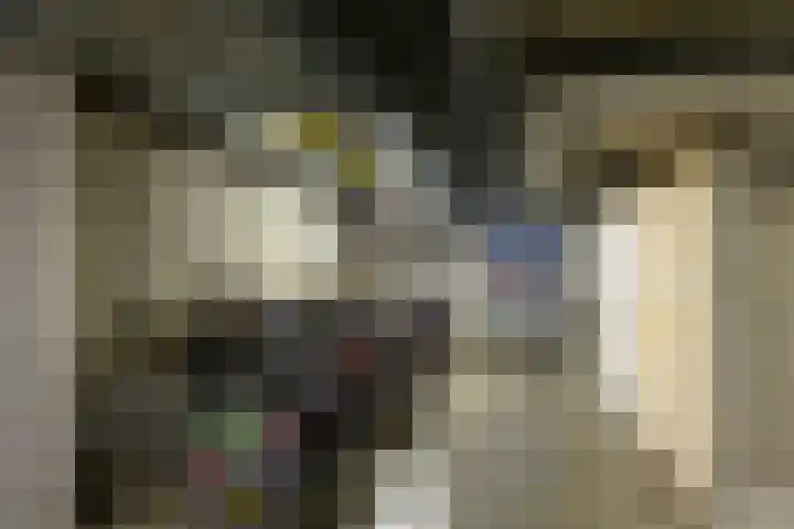 Ommedijk 64 Leiderdorp thumbnail 35
