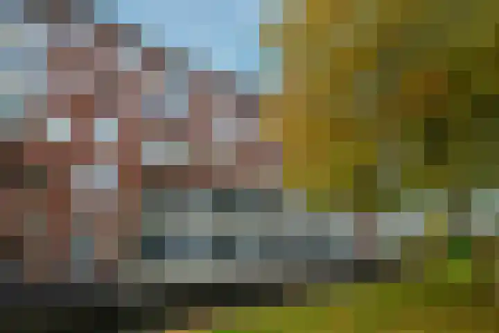 Ommedijk 64 Leiderdorp thumbnail 41