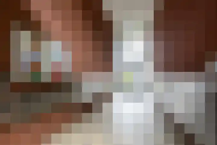Ommedijk 64 Leiderdorp thumbnail 44