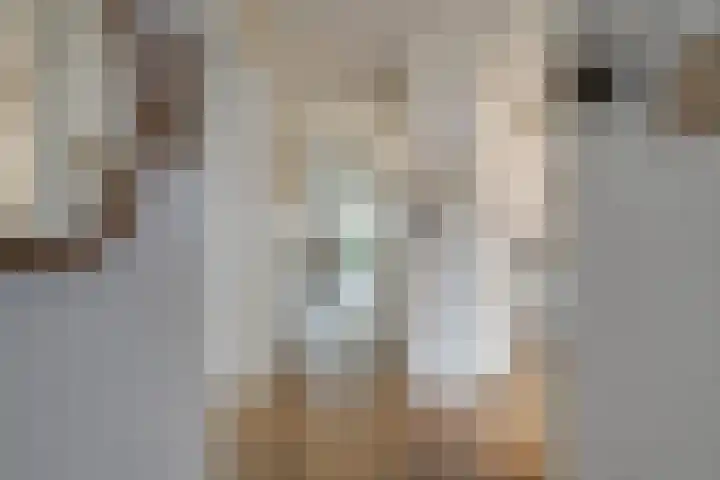 Ommedijk 64 Leiderdorp thumbnail 5