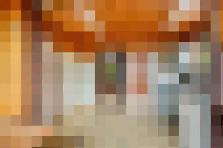 Ommedijkseweg 2 Zoeterwoude thumbnail 13