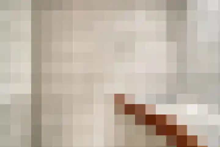 Ommedijkseweg 2 Zoeterwoude thumbnail 15