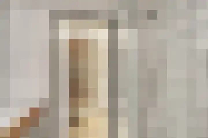 Ommedijkseweg 2 Zoeterwoude thumbnail 16