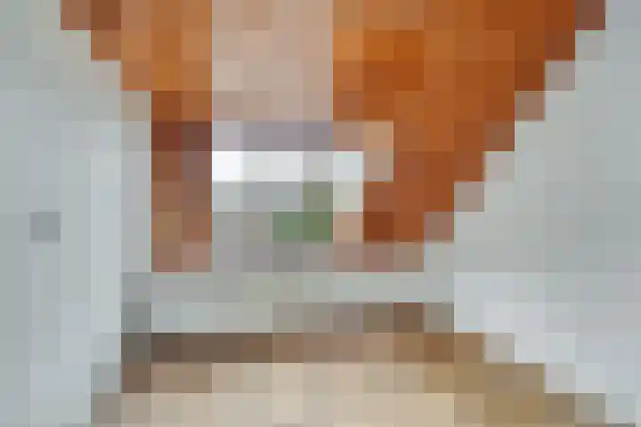 Ommedijkseweg 2 Zoeterwoude thumbnail 21
