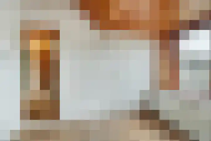 Ommedijkseweg 2 Zoeterwoude thumbnail 22