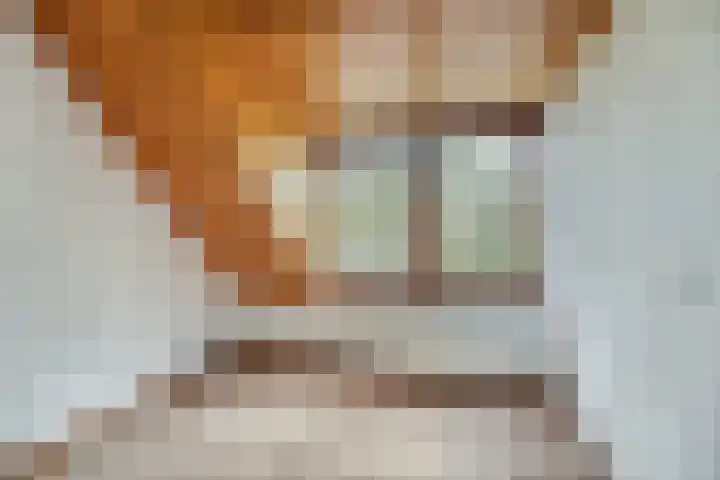 Ommedijkseweg 2 Zoeterwoude thumbnail 23