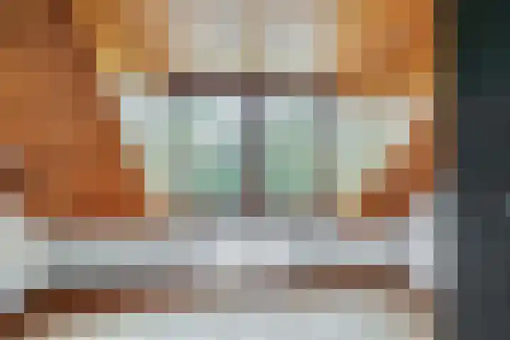 Ommedijkseweg 2 Zoeterwoude thumbnail 24