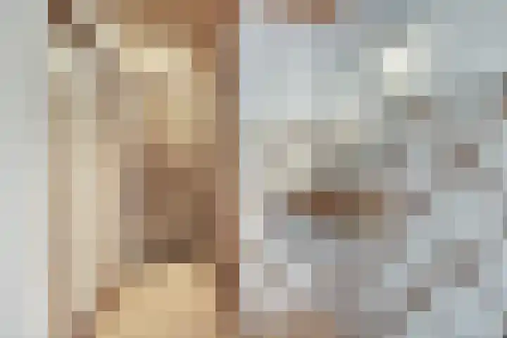 Ommedijkseweg 2 Zoeterwoude thumbnail 25