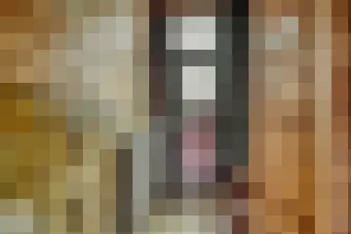 Ommedijkseweg 2 Zoeterwoude thumbnail 6