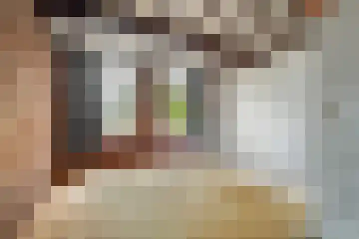 Ommedijkseweg 2 Zoeterwoude thumbnail 8