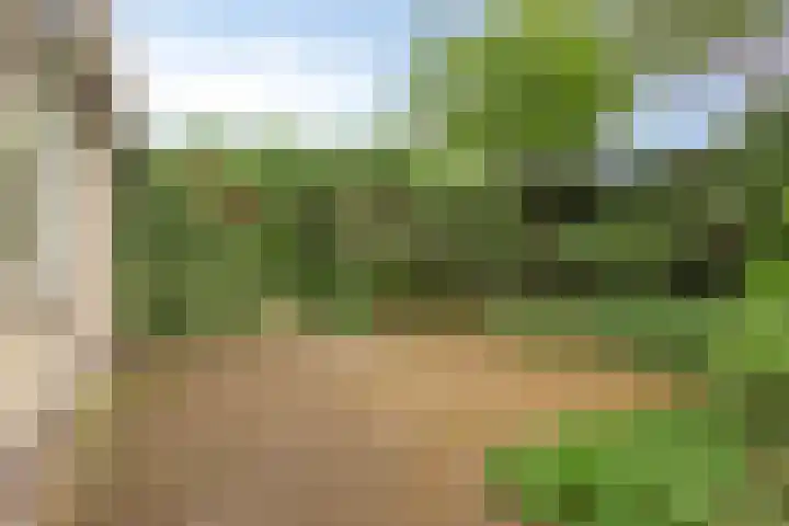 Ommedracht 23 IJsselstein thumbnail 30