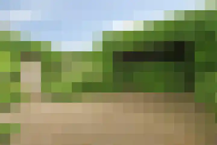 Ommedracht 23 IJsselstein thumbnail 31