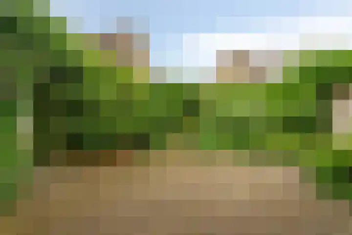 Ommedracht 23 IJsselstein thumbnail 32