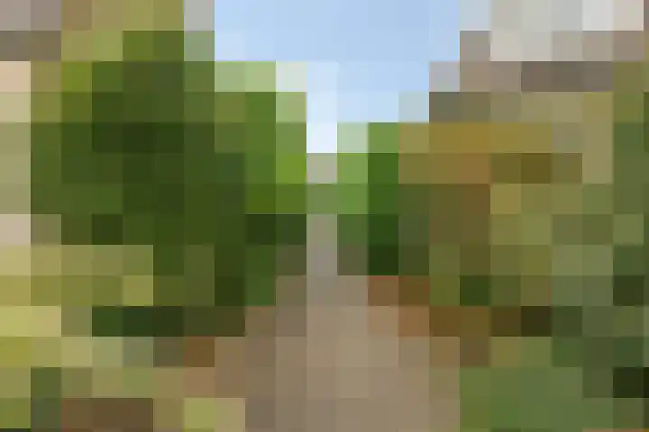 Ommedracht 23 IJsselstein thumbnail 34