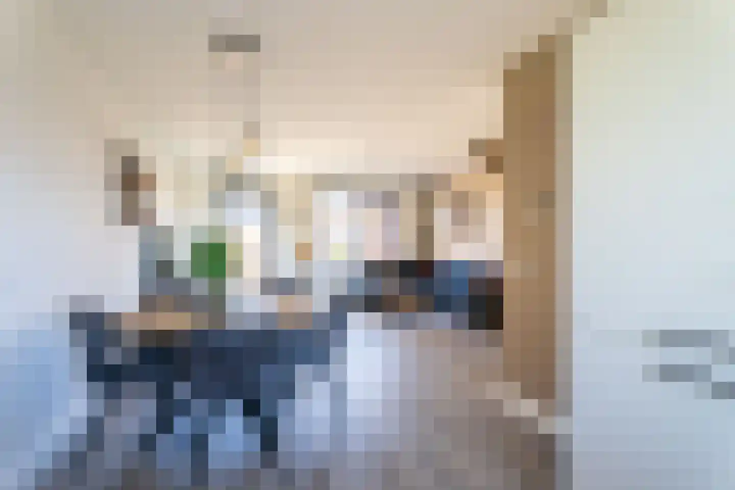 Ommeland 12 Spierdijk thumbnail 10