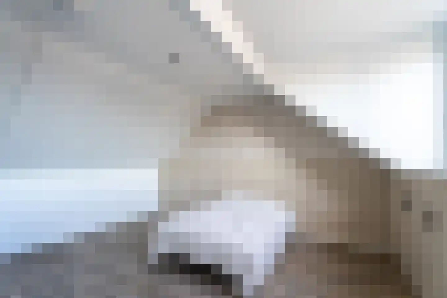 Ommeland 12 Spierdijk thumbnail 22