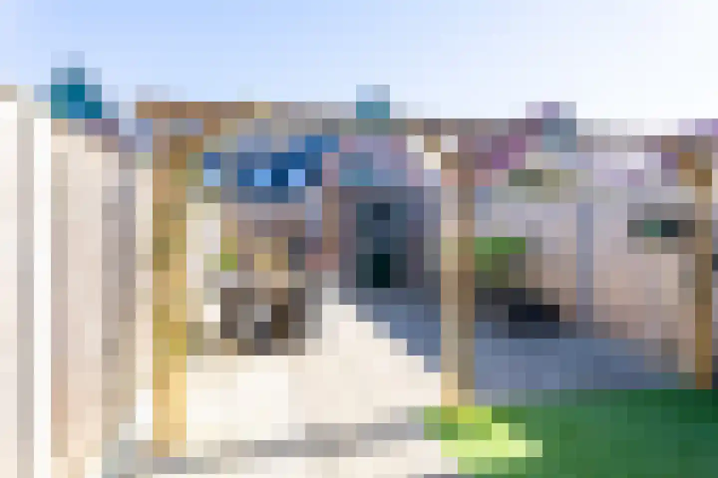 Ommeland 12 Spierdijk thumbnail 4