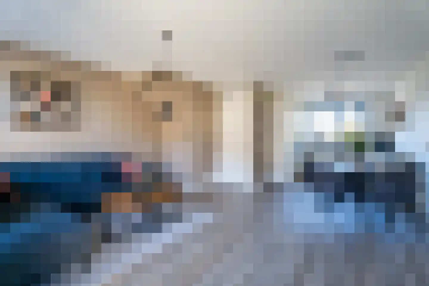 Ommeland 12 Spierdijk thumbnail 8