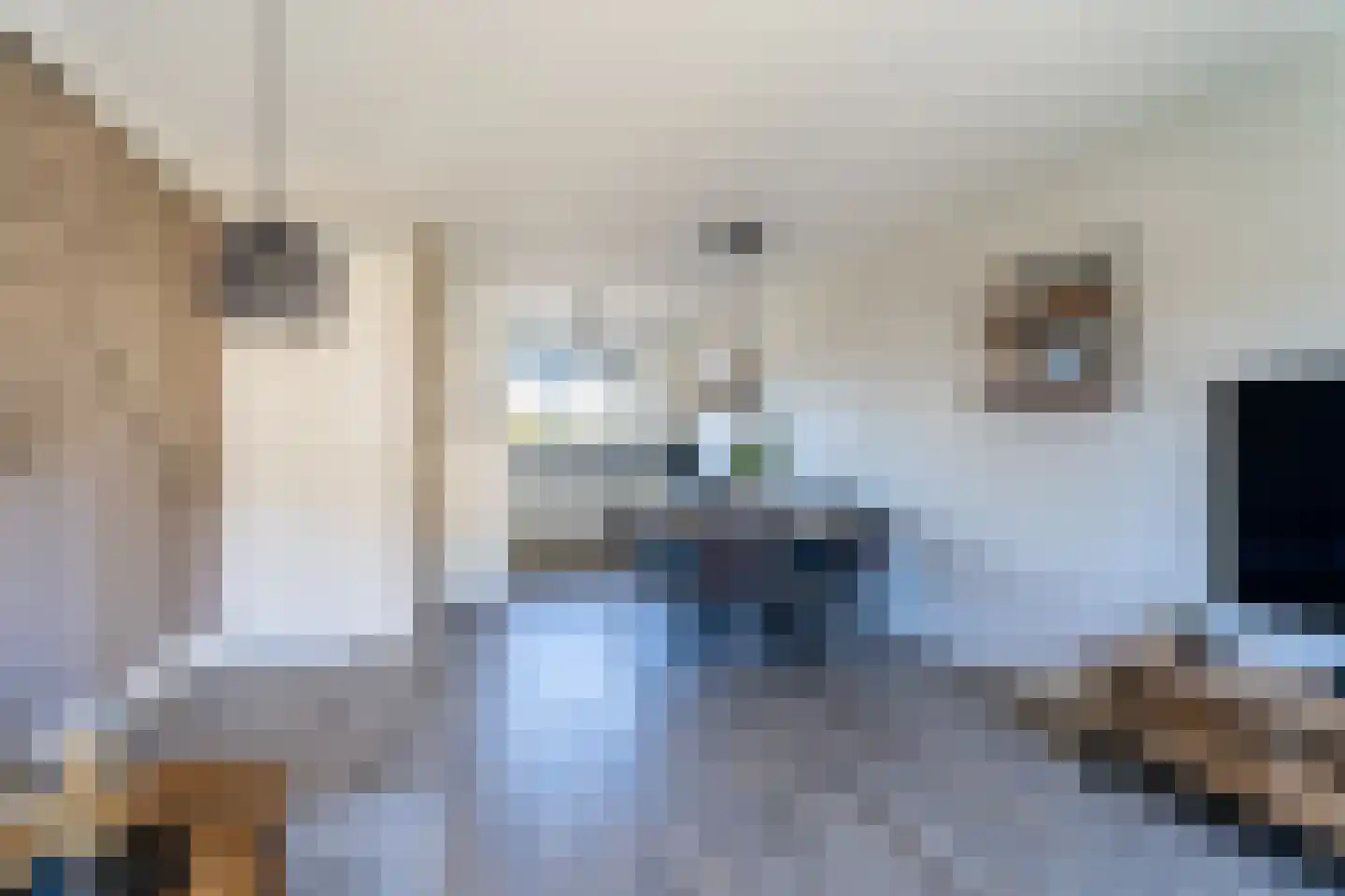 Ommeland 12 Spierdijk thumbnail 9