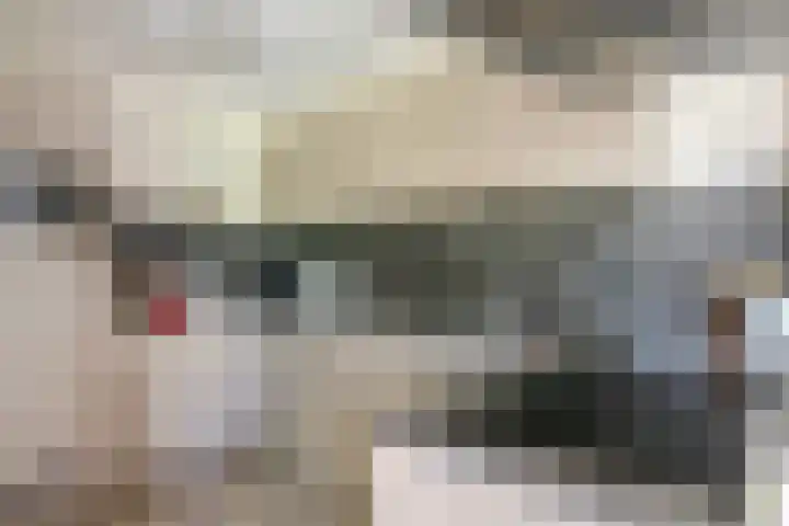 Ommeland 22 Purmerend thumbnail 12