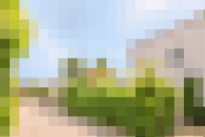 Ommeland 22 Purmerend thumbnail 33