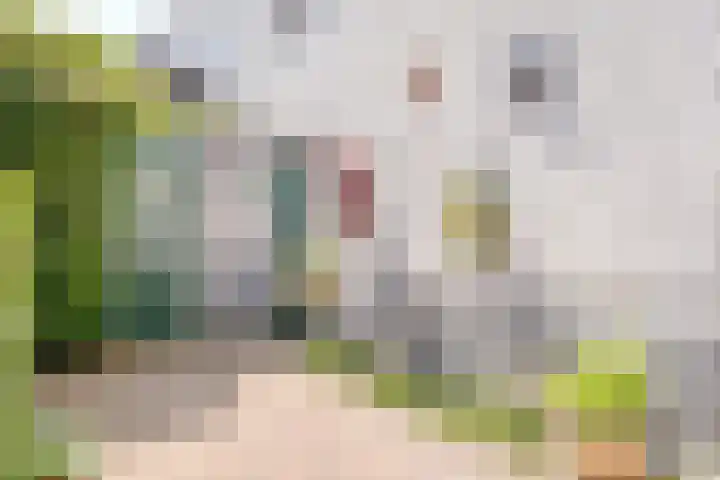 Ommeland 22 Purmerend thumbnail 34