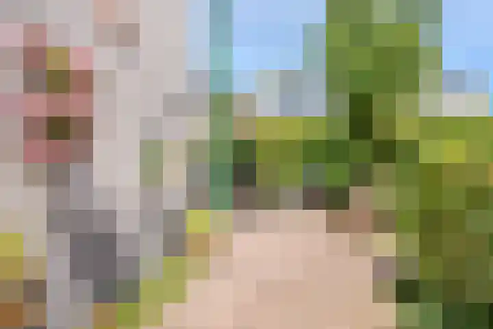 Ommeland 22 Purmerend thumbnail 35